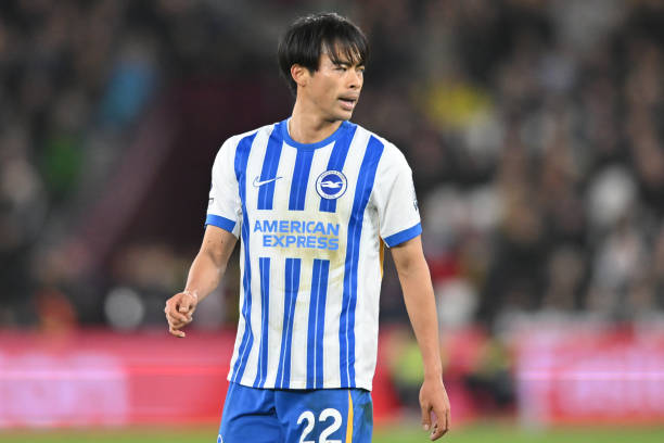 他们正加大 他们正加大